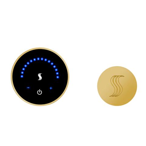 ThermaSol MTC-SVRD MicroTouch Steam Shower Control w/SteamVection Steamhead, Flushmount